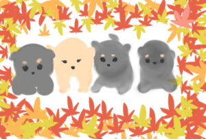 わんちゃん イラスト