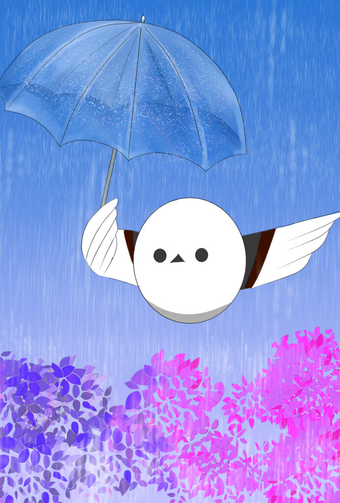 6月　あじさい　梅雨　シマエナガ